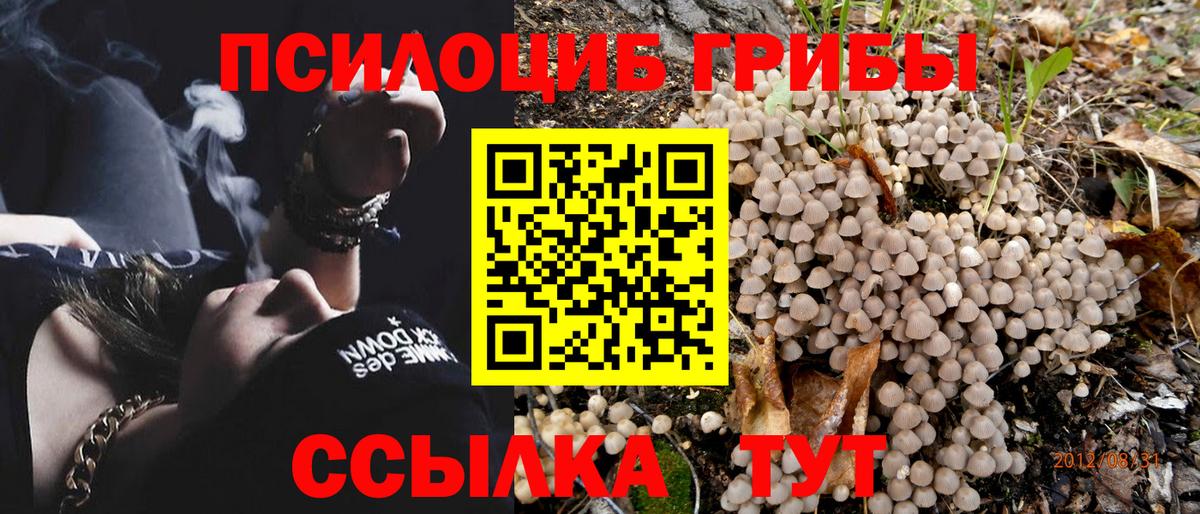 Галлюциногенные грибы мухоморы Реутов